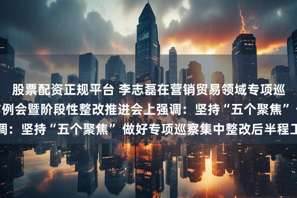 股票配资正规平台 李志磊在营销贸易领域专项巡察提级整改第二次工作例会暨阶段性整改推进会上强调：坚持“五个聚焦” 做好专项巡察集中整改后半程工作