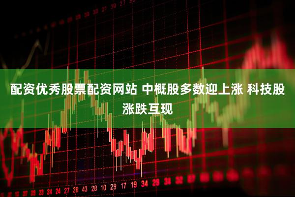 配资优秀股票配资网站 中概股多数迎上涨 科技股涨跌互现